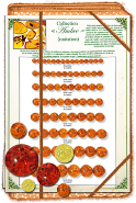 Catalogue imitation ambre