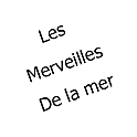Catalogues les merveilles de la mer