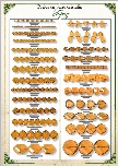 Catalogue cristal topaz