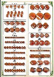 Catalogue cristal caramel