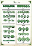 Catalogue cristal tourmaline
