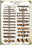 Catalogue cristal chocolat