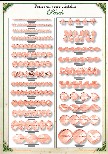 Catalogue cristal peach